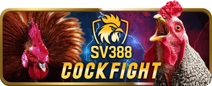 Đá Gà 66bbet